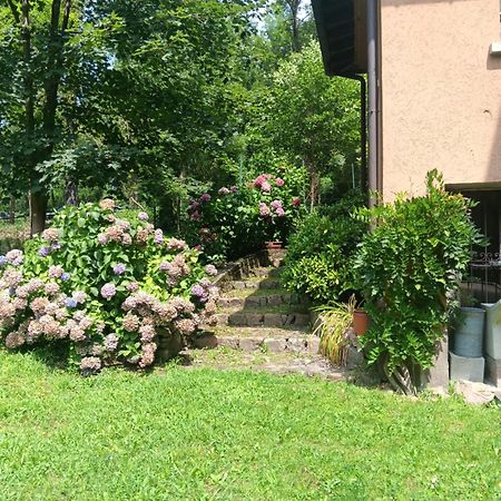 L'Angolino Di Magda: On The Lake-Private Beach! Ghirla Exterior foto