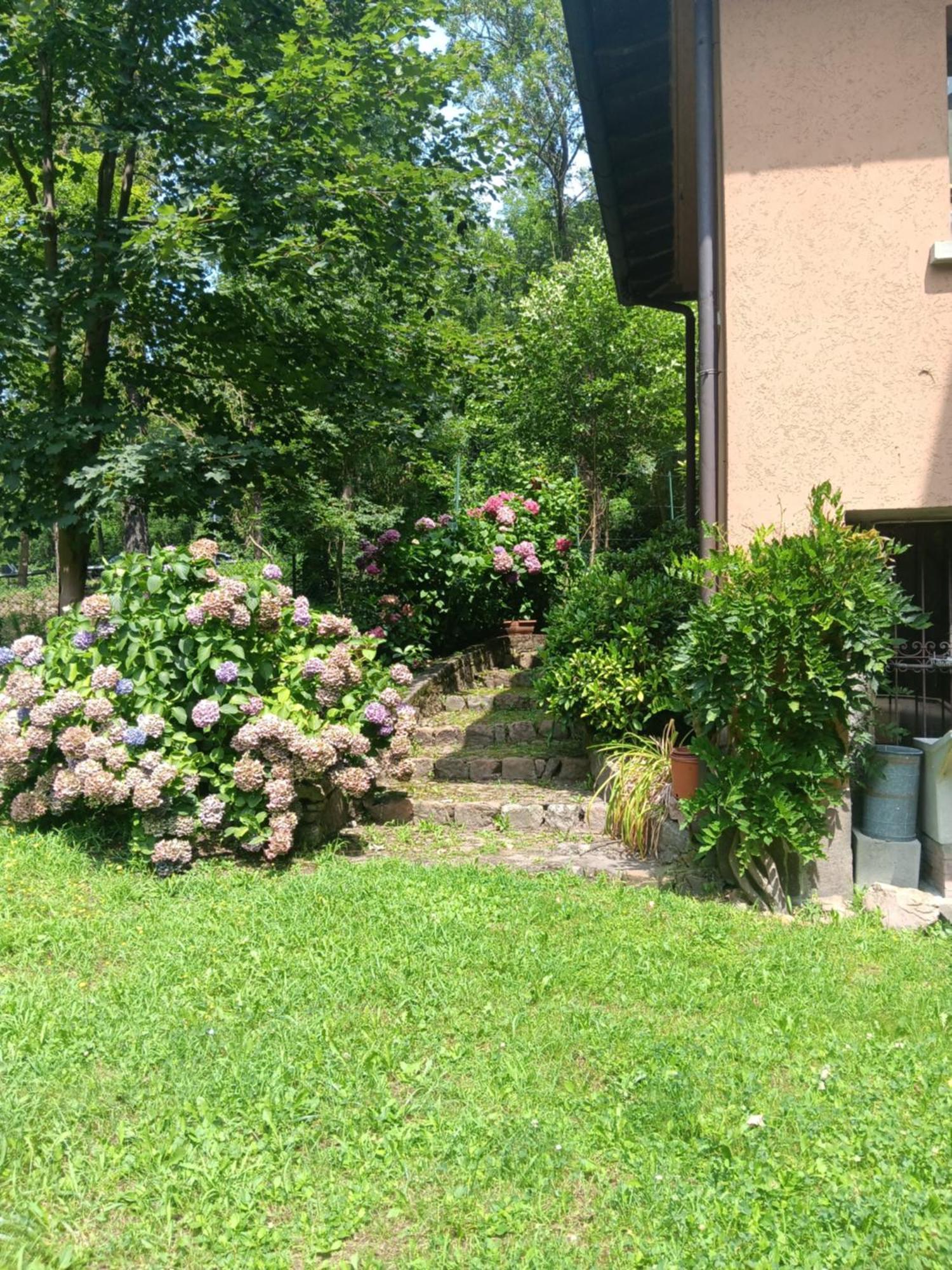 L'Angolino Di Magda: On The Lake-Private Beach! Ghirla Exterior foto